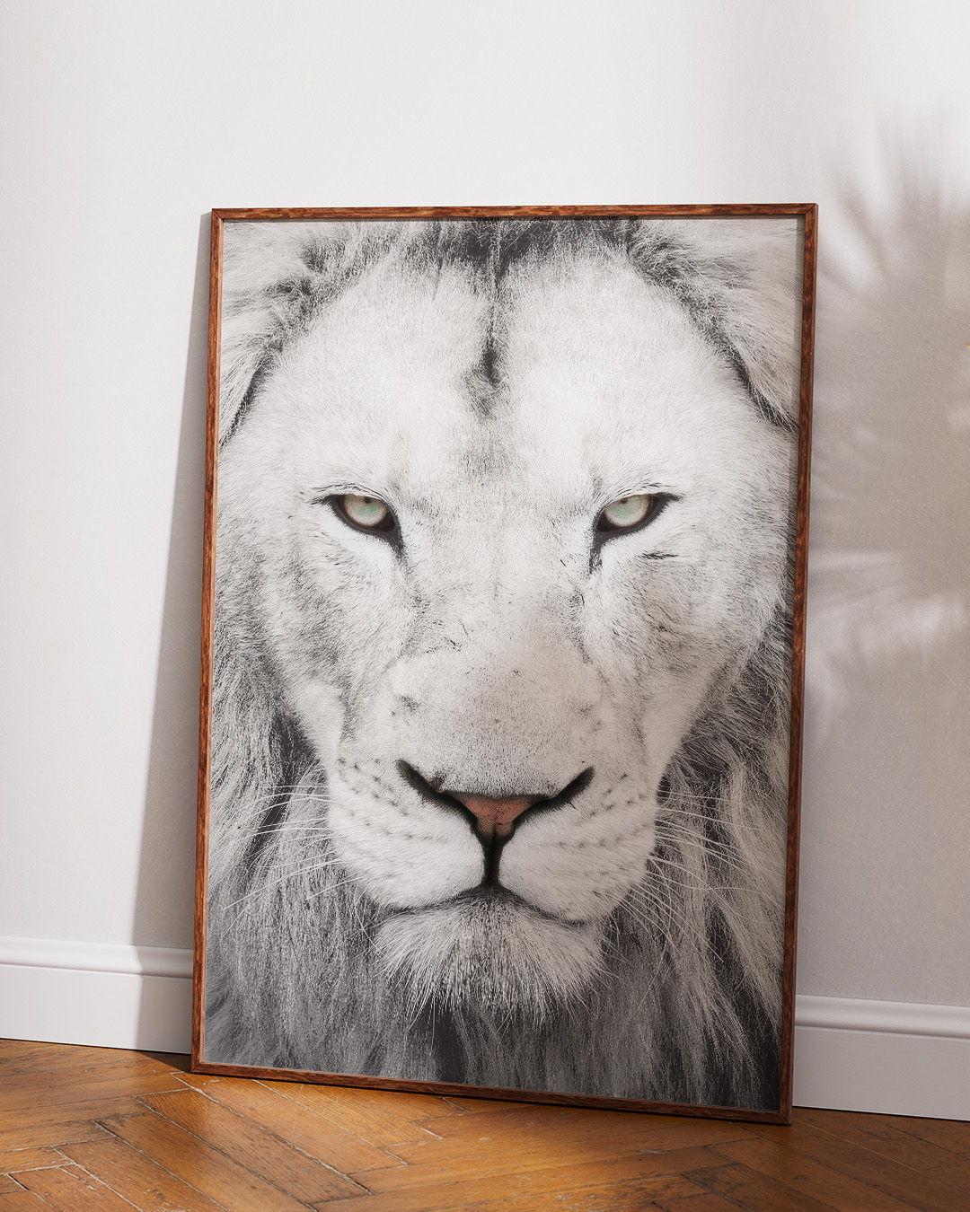 nys-0010-white-lion-kapak